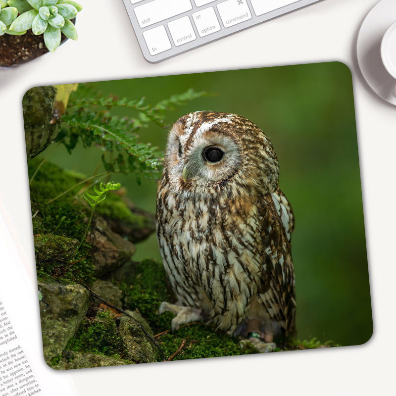 Gaming Accessories On Sale - Sevimli Hayvan Baykuş Oyun Mouse Pad
